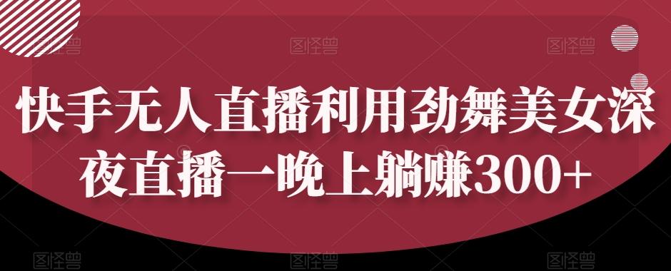 快手无人直播利用劲舞美女深夜直播一晚上躺赚300+-桀创项目掘金社