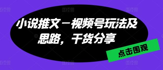 小说推文—视频号玩法及思路，干货分享-桀创项目掘金社