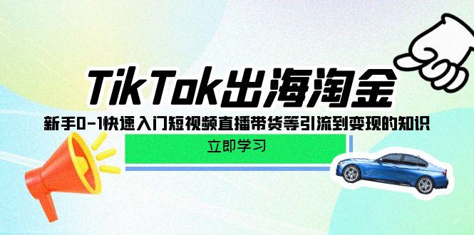 (10035期)TikTok-出海淘金，新手0-1快速入门短视频直播带货等引流到变现的知识-桀创项目掘金社