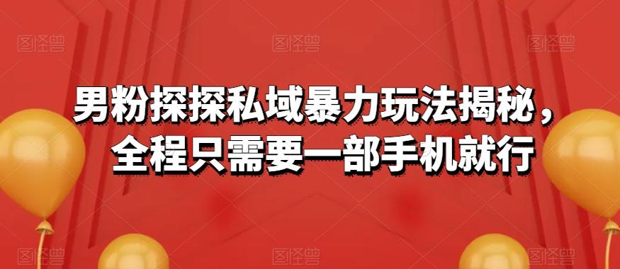 男粉探探私域暴力玩法揭秘，全程只需要一部手机就行-桀创项目掘金社