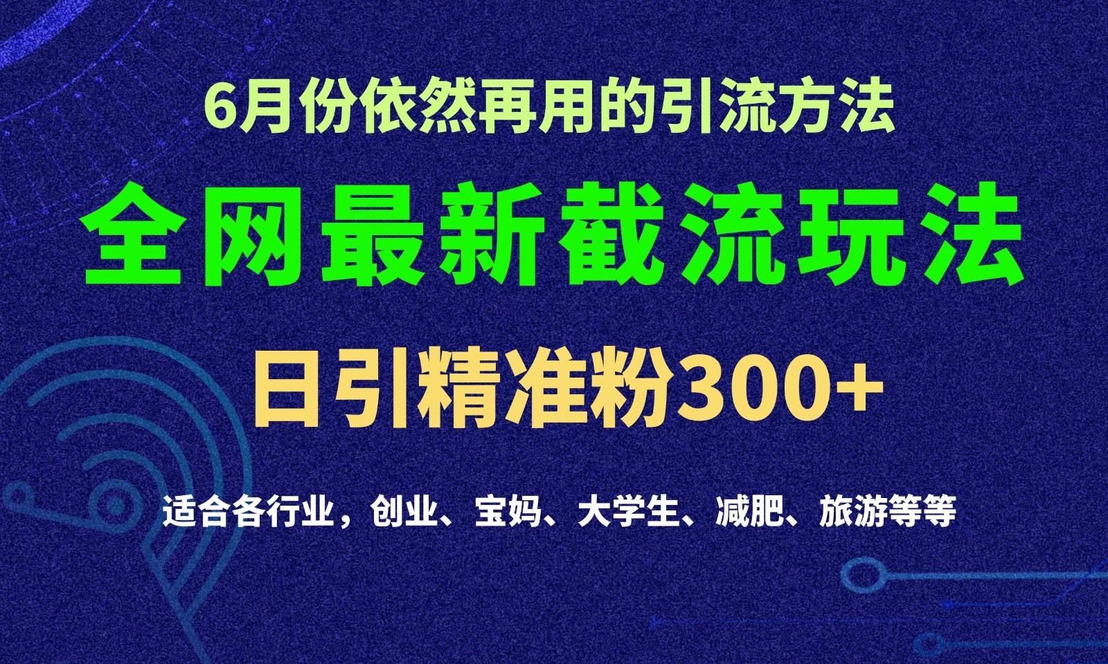 2024全网最新截留玩法，每日引流突破300+-桀创项目掘金社