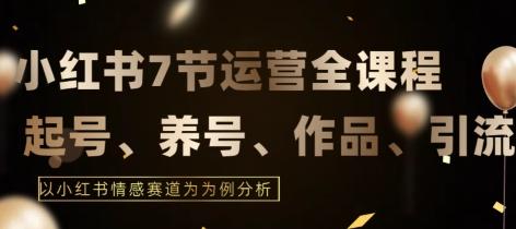 7节小红书运营实战全教程，结合最新情感赛道，打通小红书运营全流程【揭秘】-桀创项目掘金社