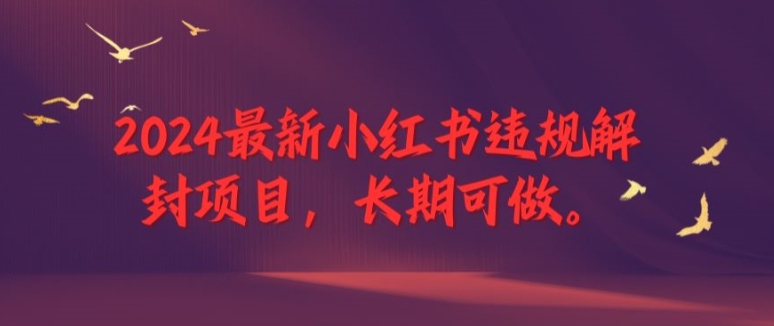 2024最新小红书违规解封项目，长期可做，一个可以做到退休的项目【揭秘】-桀创项目掘金社