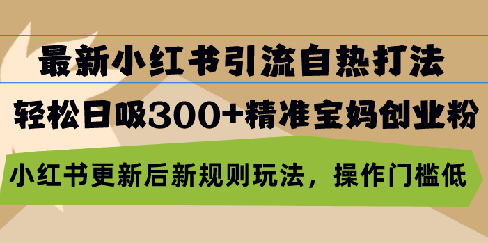 最新小红书引流自热打法，轻松日吸300+精准宝妈创业粉，小红书更新后新…-桀创项目掘金社