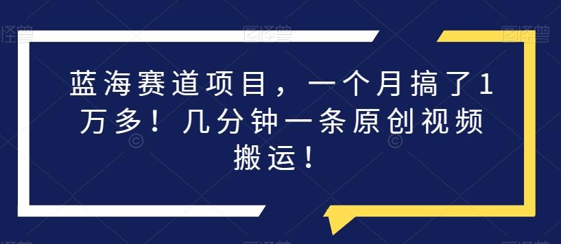 蓝海赛道项目，一个月搞了1万多！几分钟一条原创视频搬运！-桀创项目掘金社