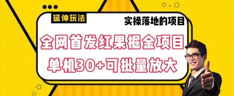 全网首发红果免费短剧掘金项目，单机30+可批量放大【揭秘】-桀创项目掘金社