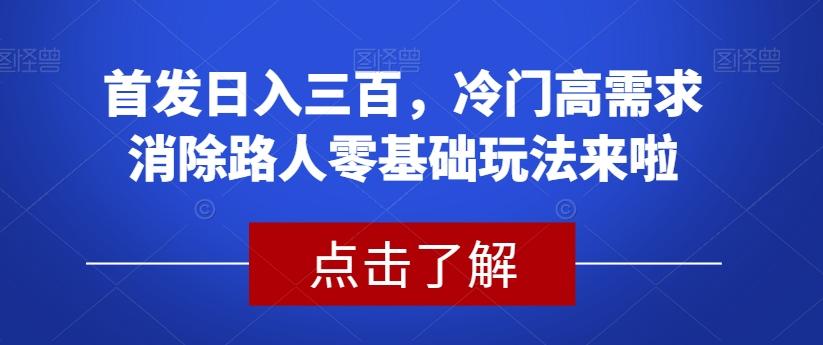 首发日入三百，冷门高需求消除路人零基础玩法来啦【揭秘】-桀创项目掘金社