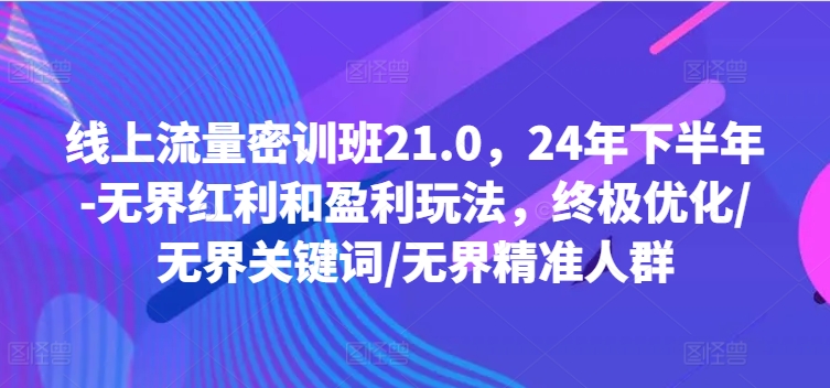 线上流量密训班21.0，24年下半年-无界红利和盈利玩法，终极优化/无界关键词/无界精准人群-桀创项目掘金社