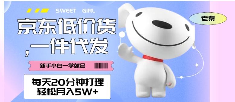 每天20分钟打理京东低价货，一件代发-轻松月入5W＋-桀创项目掘金社