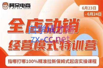 阿呆电商·全店动销经营模式特训营(线下录音+思维导图)-桀创项目掘金社