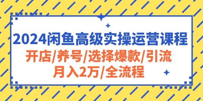 2024闲鱼高级实操运营课程：开店/养号/选择爆款/引流/月入2万/全流程-桀创项目掘金社