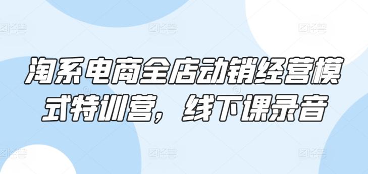 淘系电商全店动销经营模式特训营，线下课录音-桀创项目掘金社