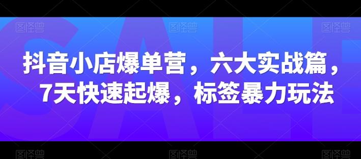 抖音小店爆单营，六大实战篇，7天快速起爆，标签暴力玩法-桀创项目掘金社