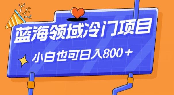 蓝海领域冷门赛道，一单39.9，日入800＋-桀创项目掘金社