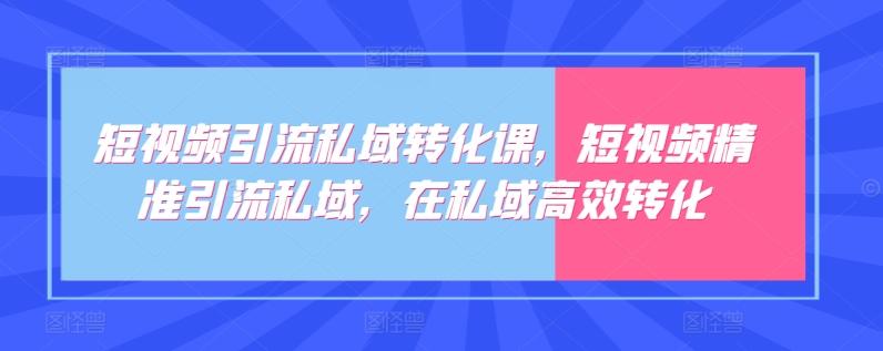 短视频引流私域转化课，短视频精准引流私域，在私域高效转化-桀创项目掘金社