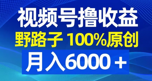 视频号野路子撸收益，100%原创，条条爆款，月入6000＋【揭秘】-桀创项目掘金社