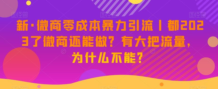 新·微商零成本暴力引流丨都2023了微商还能做？有大把流量，为什么不能？-桀创项目掘金社