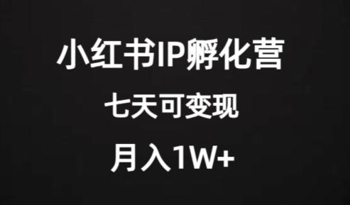 价值2000+的小红书IP孵化营项目，超级大蓝海，七天即可开始变现，稳定月入1W+-桀创项目掘金社