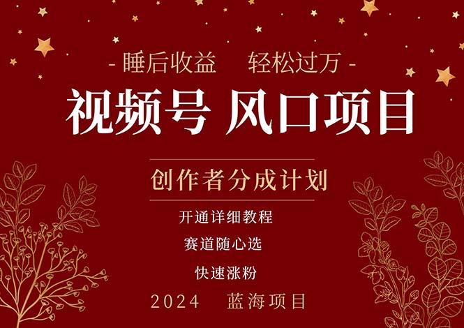 拥有睡眠收益的微信视频号大风口项目，轻松月入过万+，多赛道选择，可…-桀创项目掘金社