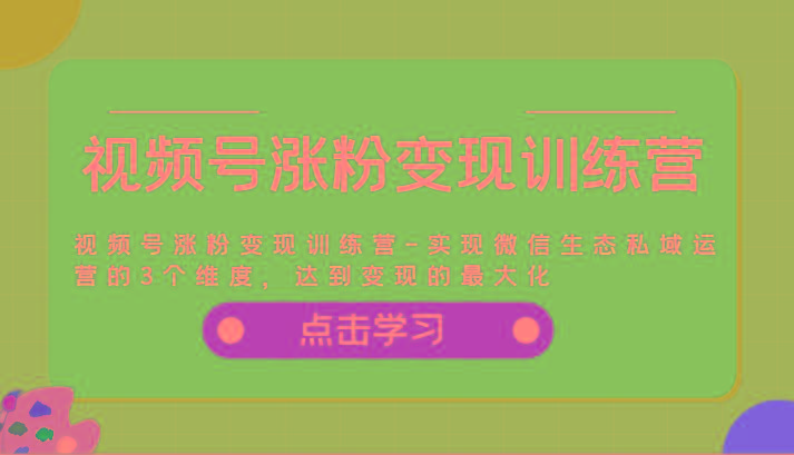 视频号涨粉变现训练营-实现微信生态私域运营的3个维度，达到变现的最大化-桀创项目掘金社