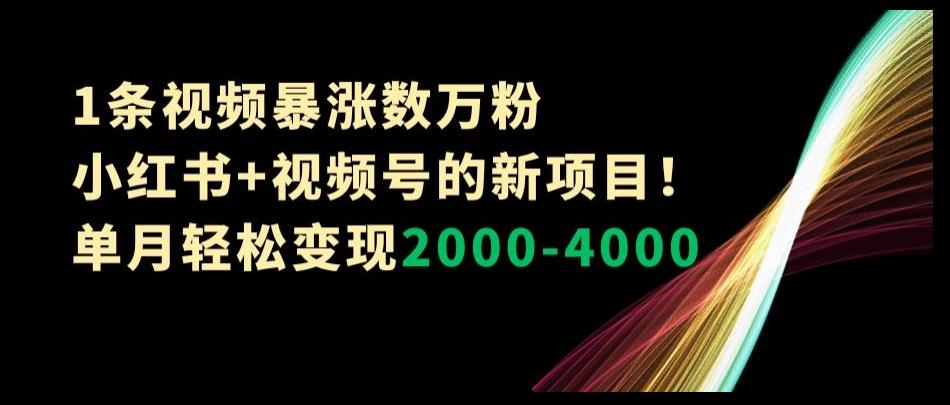 1条视频暴涨数万粉–小红书+视频号的新项目！单月轻松变现2000-4000【揭秘】-桀创项目掘金社