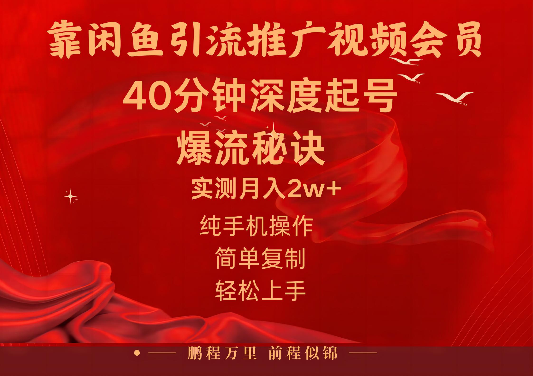 闲鱼暴力引流推广视频会员，能做到日入2W+，操作简单-桀创项目掘金社