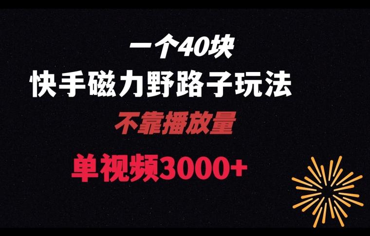 一个40块，快手联合美团磁力新玩法，无视机制野路子玩法，单视频收益4位数【揭秘】-桀创项目掘金社