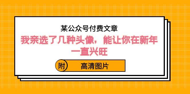 某公众号付费文章：我亲选了几种头像，能让你在新年一直兴旺（附高清图片）-桀创项目掘金社