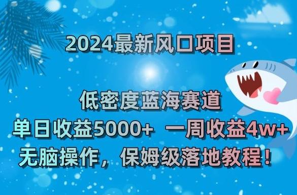 2024最新风口项目，低密度蓝海赛道，单日收益5000+，一周收益4w+！【揭秘】-桀创项目掘金社