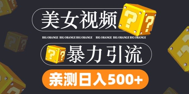 搬运tk美女视频全网分发，日引s粉300+，轻松变现，不限流量不封号【揭秘】-桀创项目掘金社