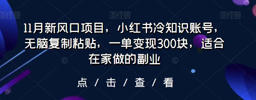 11月新风口项目，小红书冷知识账号，无脑复制粘贴，一单变现300块，适合在家做的副业-桀创项目掘金社