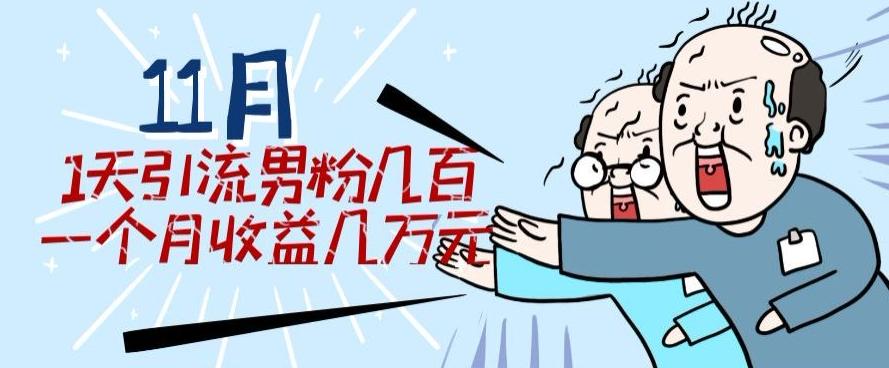 11月最新每天引流男粉300+一个月收益几万元-桀创项目掘金社