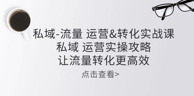 私域-流量 运营&转化实操课：私域 运营实操攻略 让流量转化更高效-桀创项目掘金社