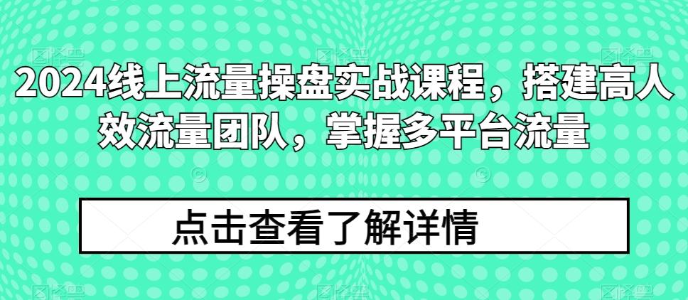 2024线上流量操盘实战课程，搭建高人效流量团队，掌握多平台流量-桀创项目掘金社