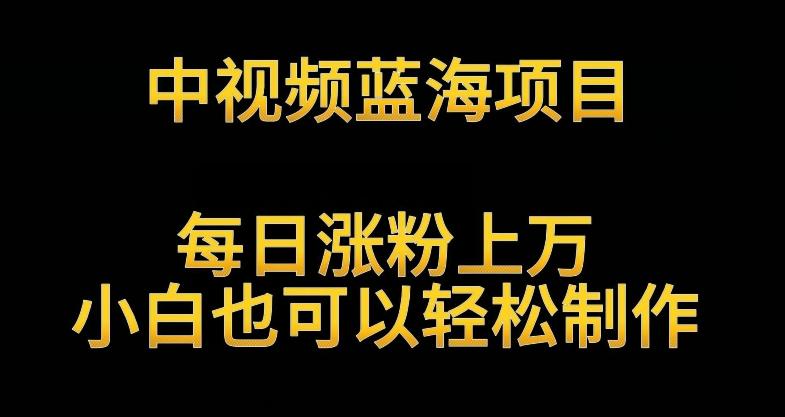 中视频蓝海项目，解读英雄人物生平，每日涨粉上万，小白也可以轻松制作，月入过万不是梦【揭秘】-桀创项目掘金社