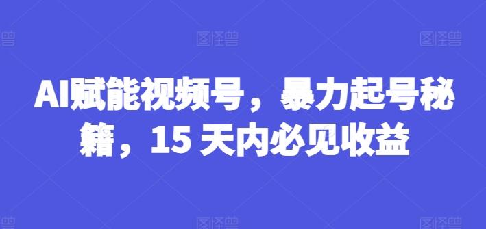 AI赋能视频号，暴力起号秘籍，15 天内必见收益【揭秘】-桀创项目掘金社