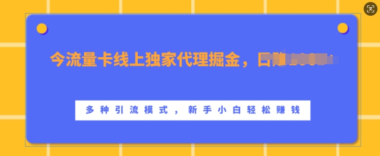 流量卡线上独家代理掘金，日入1k+ ，多种引流模式，新手小白轻松上手【揭秘】-桀创项目掘金社