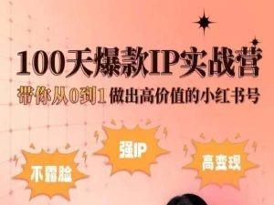 小红书100天爆款IP实战营，带你从0到1做出高价值的小红书号-桀创项目掘金社