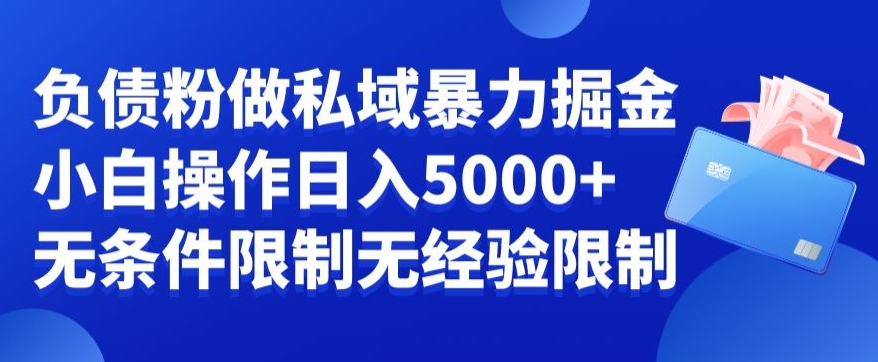 负债粉私域暴力掘金，小白操作入5000，无经验限制，无条件限制【揭秘】-桀创项目掘金社
