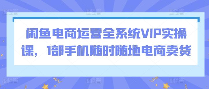 闲鱼电商运营全系统VIP实操课，1部手机随时随地电商卖货-桀创项目掘金社
