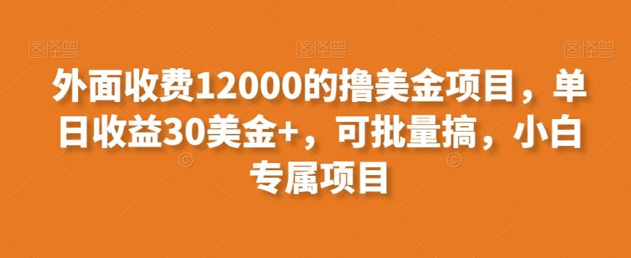 外面收费12000的撸美金项目，单日收益30美金+，可批量搞，小白专属项目-桀创项目掘金社