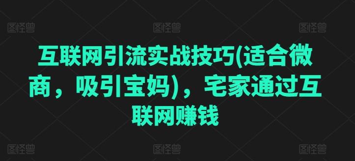 互联网引流实战技巧(适合微商，吸引宝妈)，宅家通过互联网赚钱-桀创项目掘金社