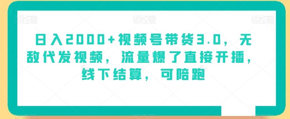 日入2000+视频号带货3.0，无敌代发视频，流量爆了直接开播，线下结算，可陪跑-桀创项目掘金社