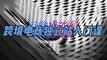团长·跨境电商独立站入门课(2小时精华)-桀创项目掘金社