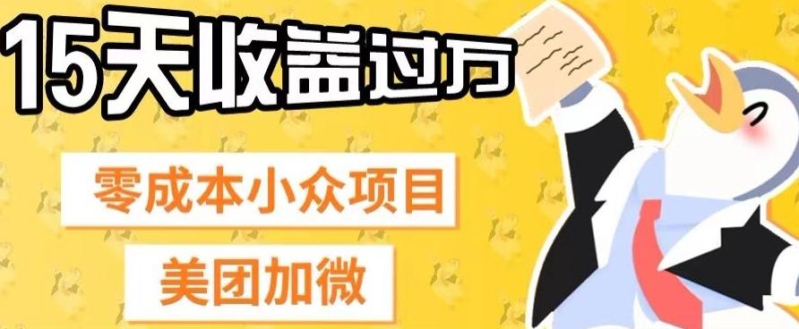 零成本小众项目，美团加微，一单4.5+，15天已经有人赚上万收益-桀创项目掘金社