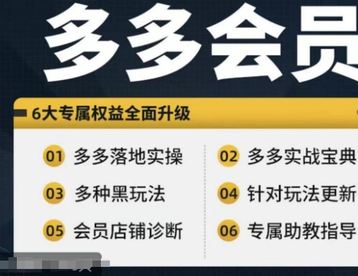 拼多多会员，拼多多实战宝典+实战落地实操，从新手到高阶内容全面覆盖-桀创项目掘金社