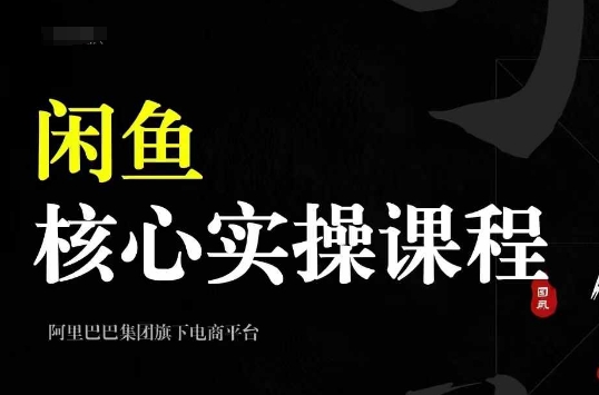 2024闲鱼核心实操课程，从养号、选品、发布、销售，教你做一个出单的闲鱼号-桀创项目掘金社