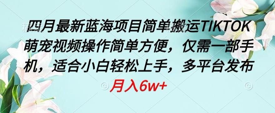 四月最新蓝海项目，简单搬运TIKTOK萌宠视频，操作简单方便，仅需一部手机【揭秘】-桀创项目掘金社
