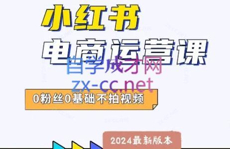 达哥·小红书电商运营(2024版)-桀创项目掘金社
