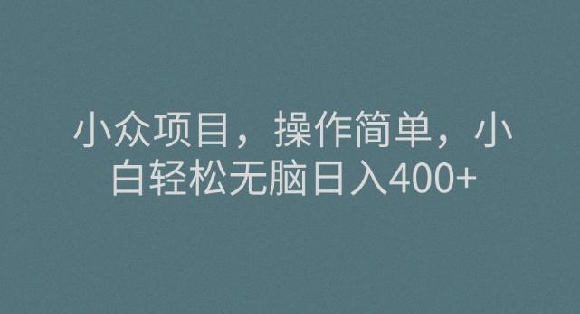 小众项目，操作简单，小白轻松无脑日入400+-桀创项目掘金社